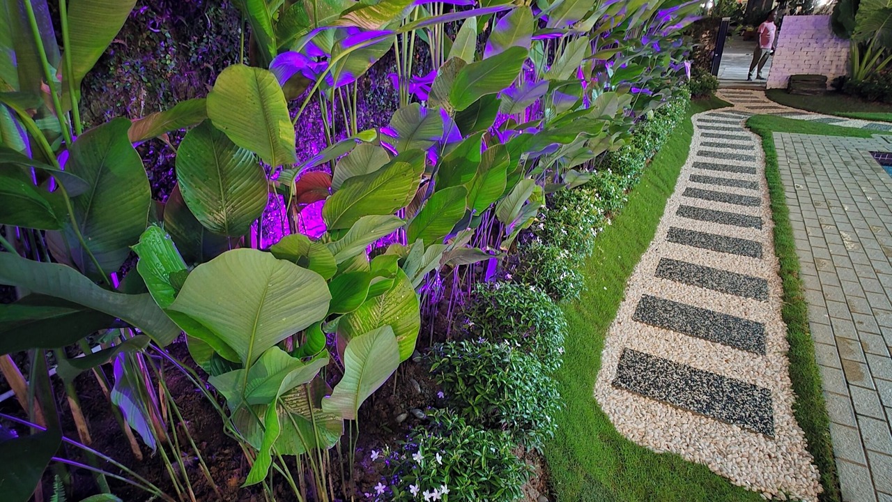 Photo of Outdoor in Kuala Lumpur