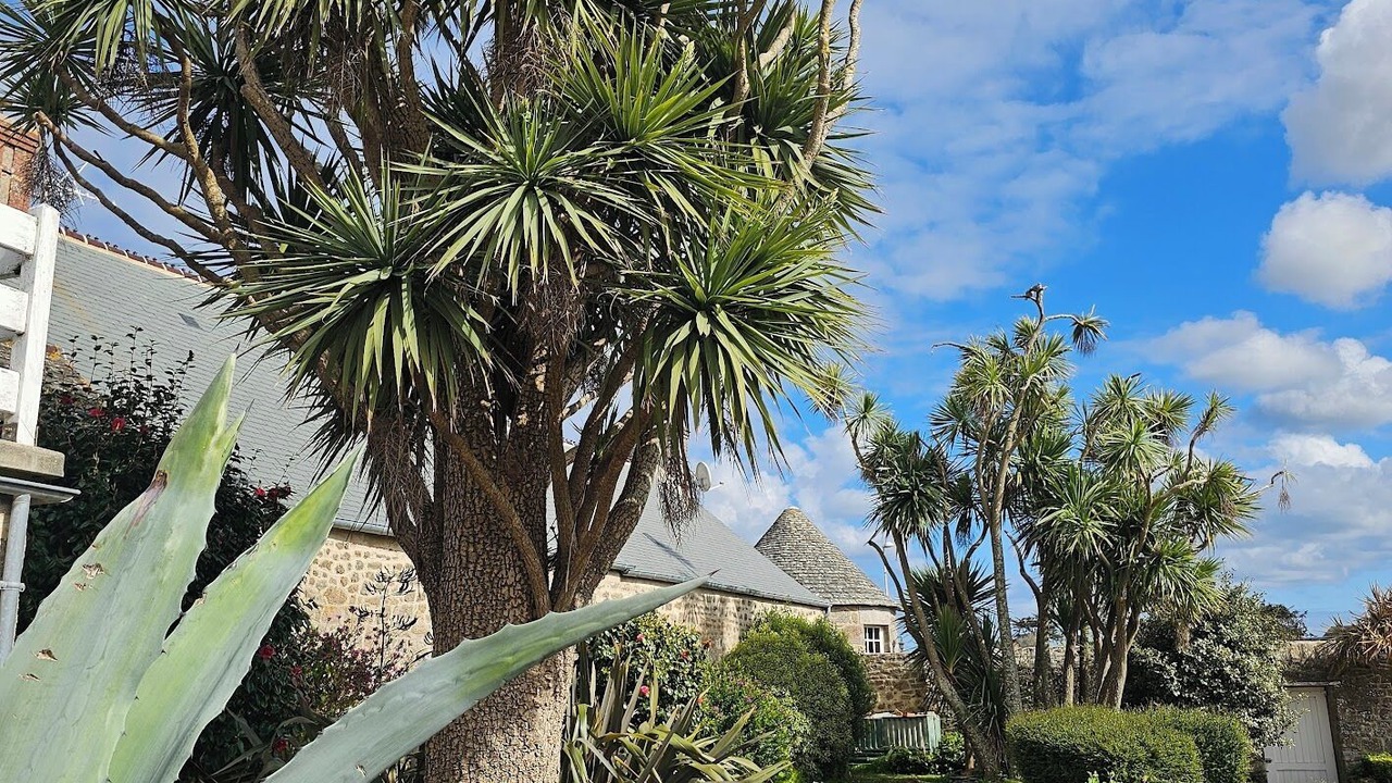 Photo of Outdoor in Barfleur