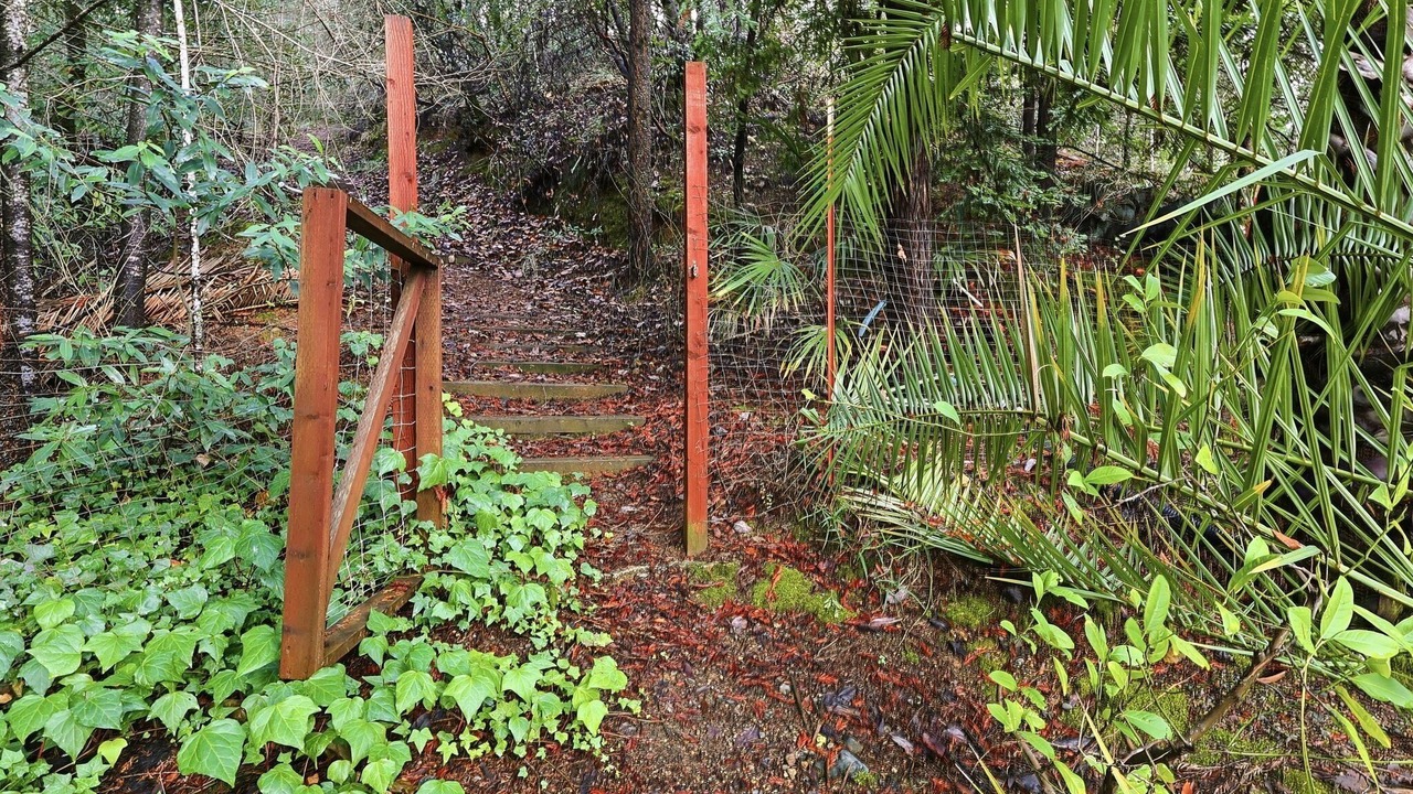 Photo of Others in Geyserville