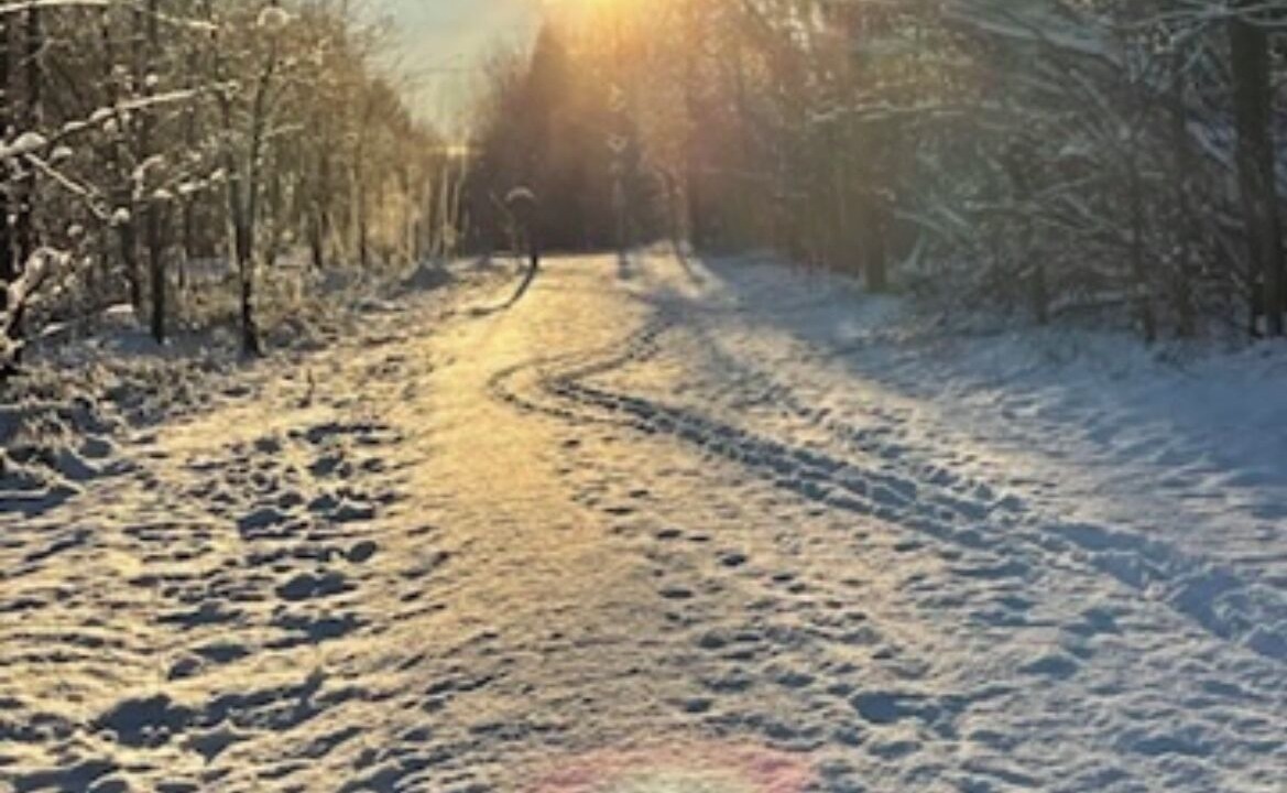 Photo of Outdoor in Clearview