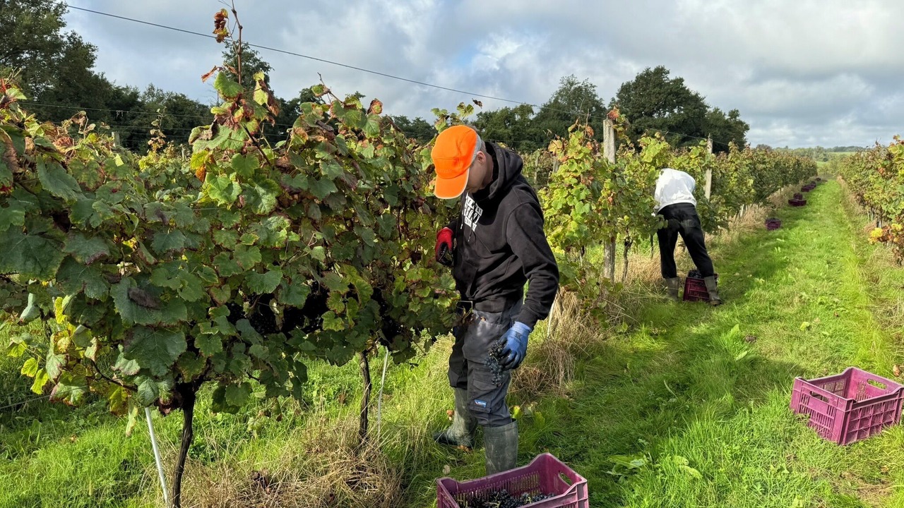 Photo of Others in Loubedat