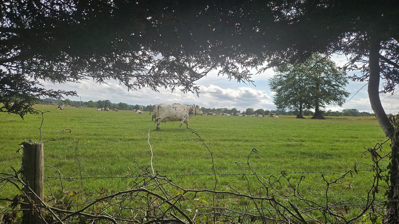 Photo of Outdoor in Mantilly