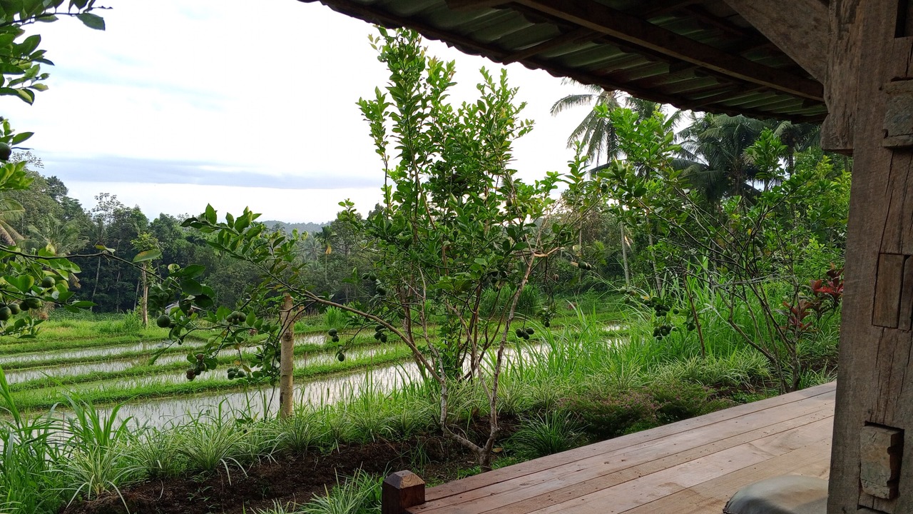 Photo of Patio Balcony in Kalipuro