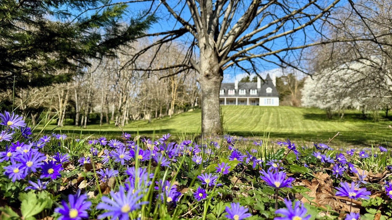 Photo of Outdoor in Mirepoix