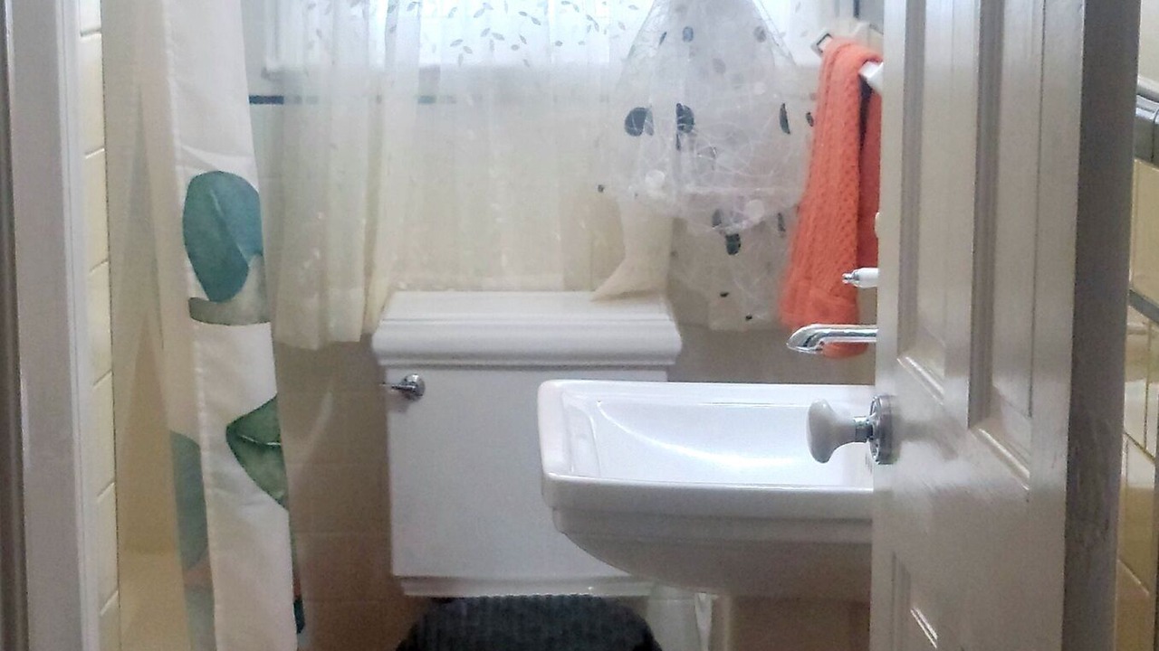 Photo of Others in Brunswick