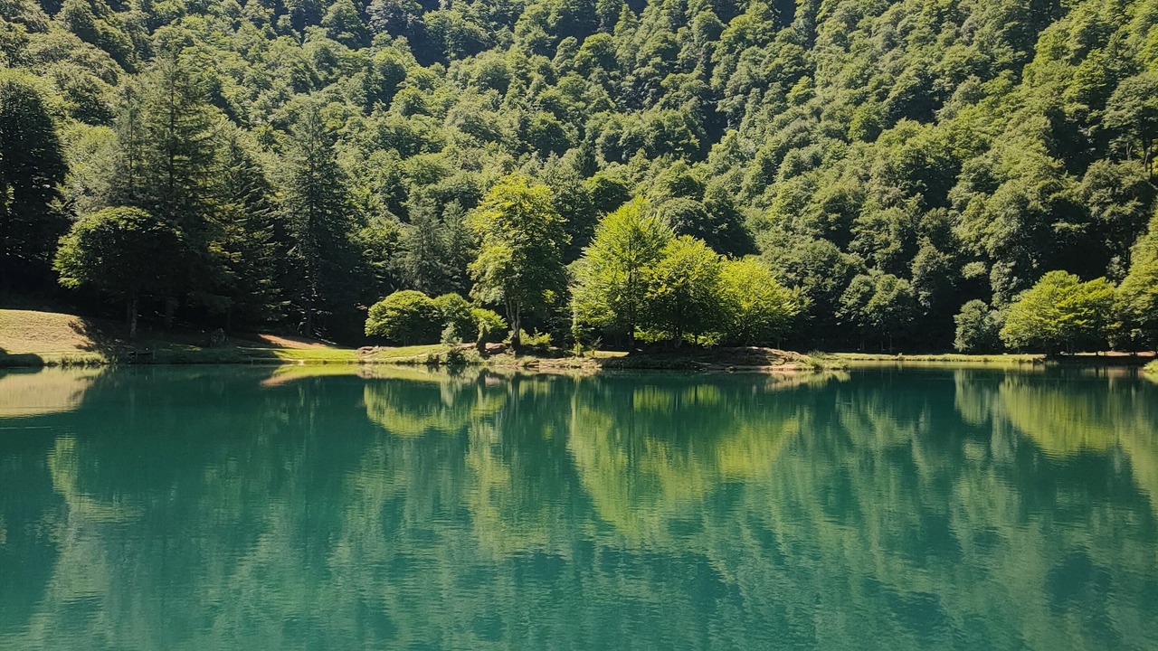 Photo of Outdoor in Les Bordes-sur-Lez