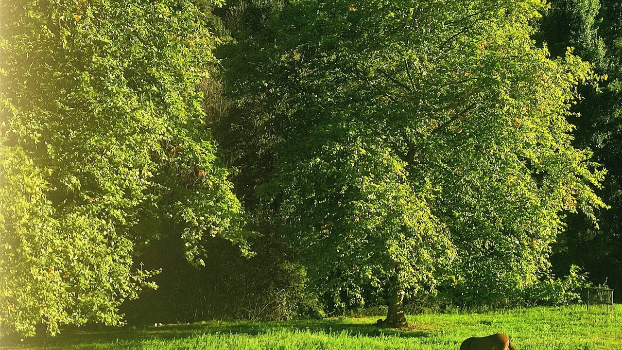 Photo of Outdoor in Zubieta