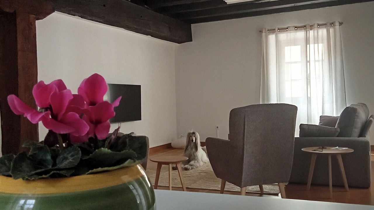 Photo of Livingroom in Zubieta