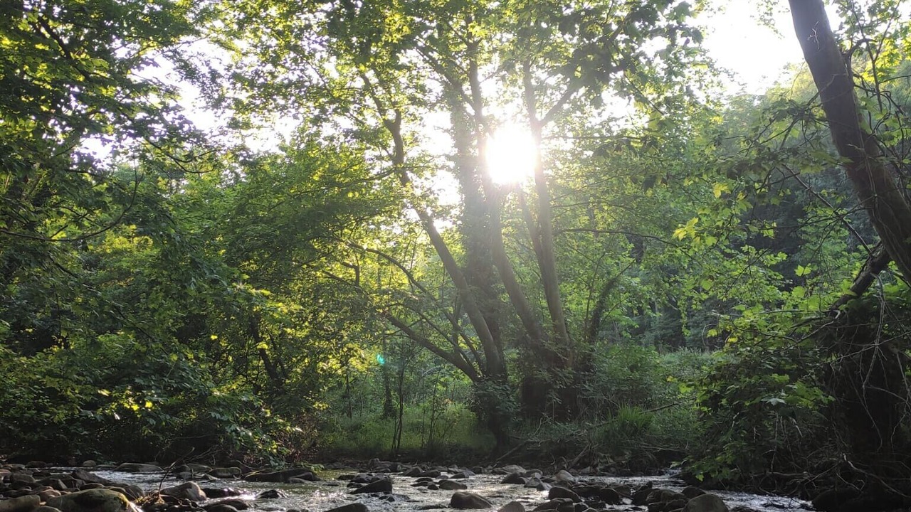 Photo of Outdoor in Zubieta