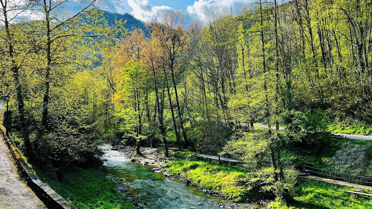 Photo of Outdoor in Zubieta