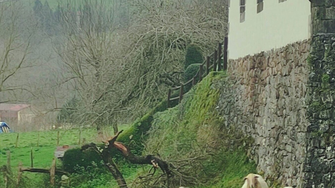 Photo of Outdoor in Zubieta