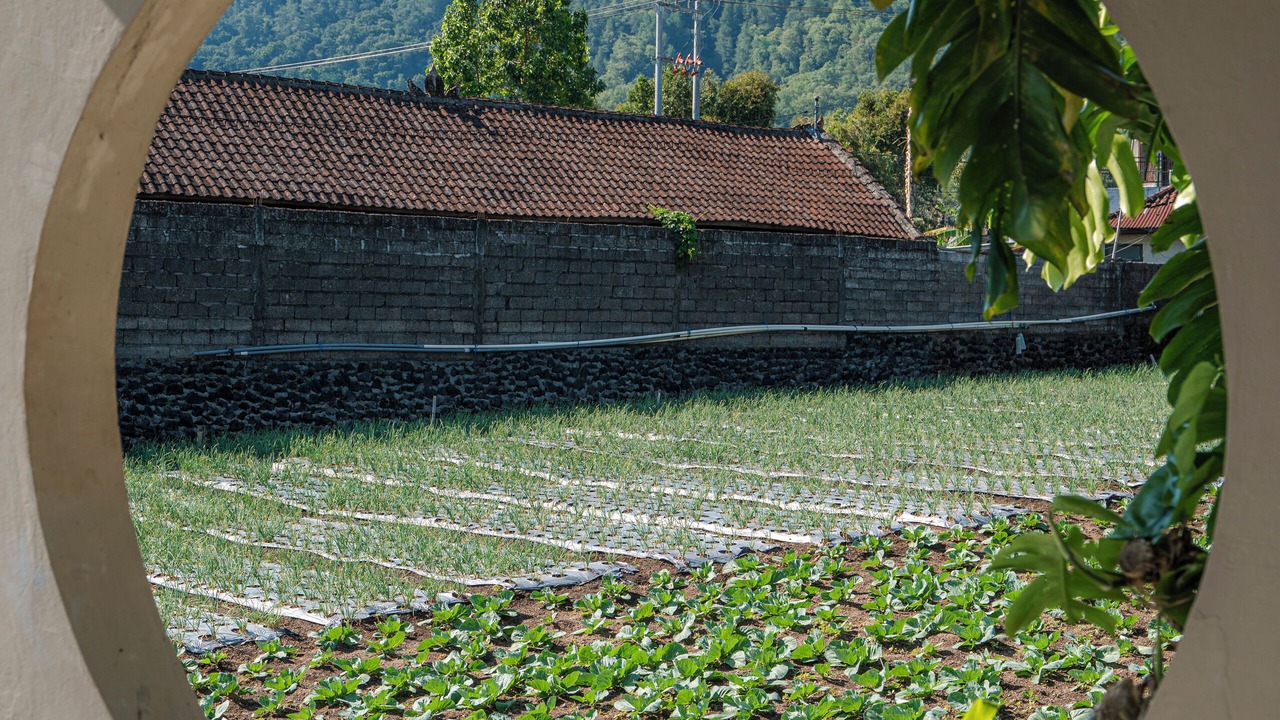 Photo of Outdoor in Kedisan