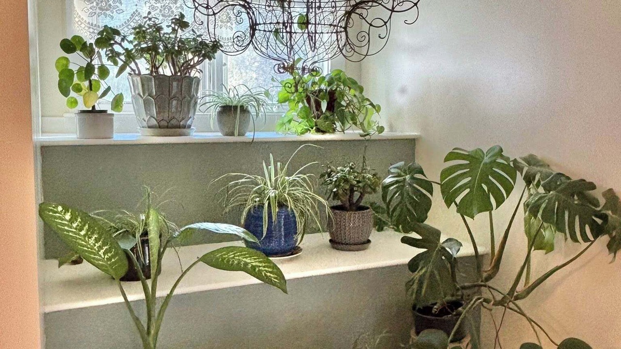 Photo of Others in Bridport