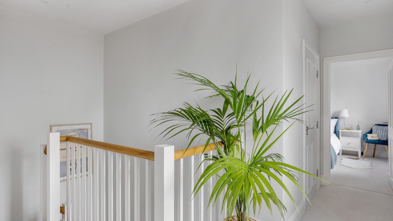 Photo of Others in Exeter