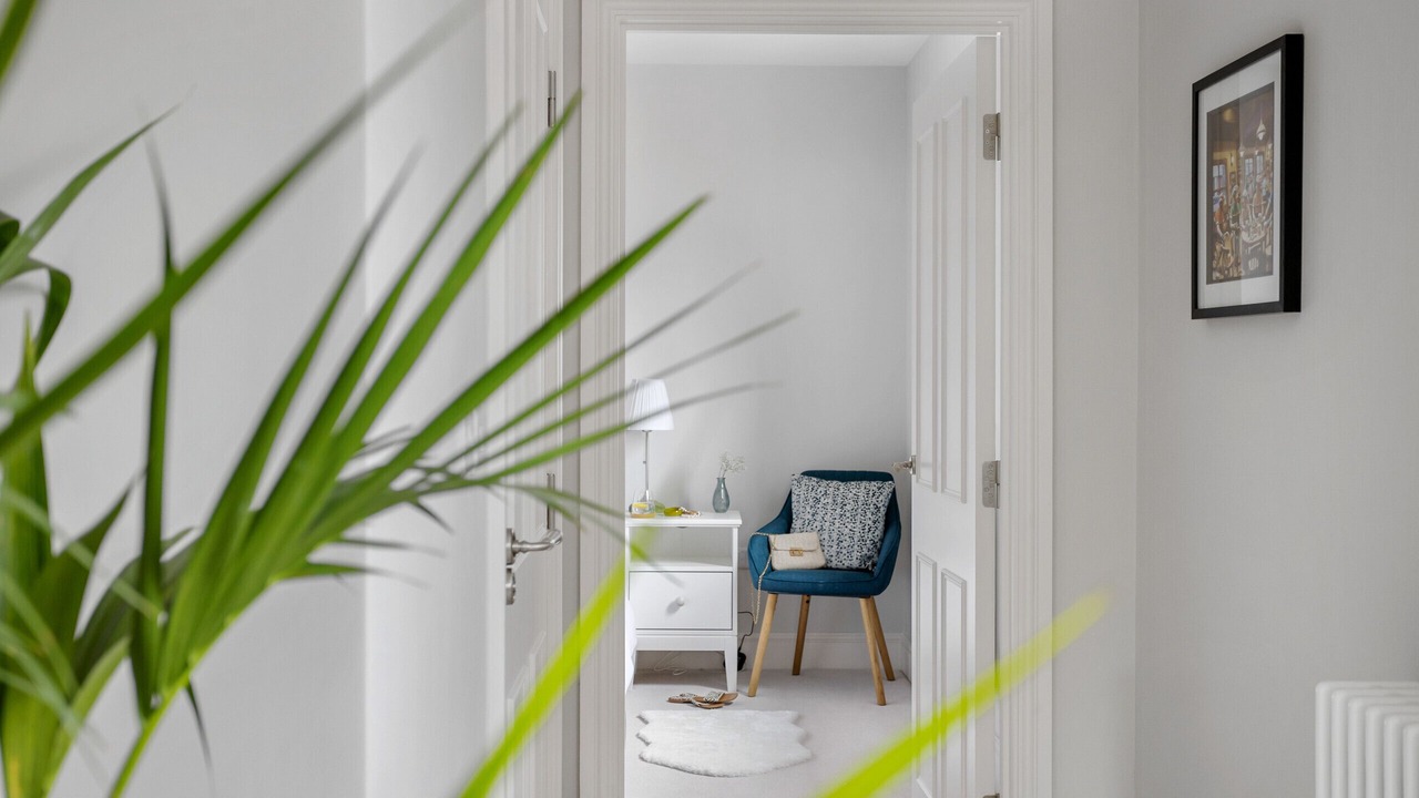 Photo of Others in Exeter