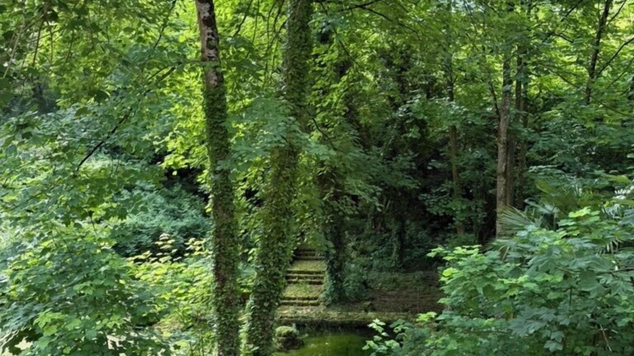 Photo of Bedroom in Angouleme
