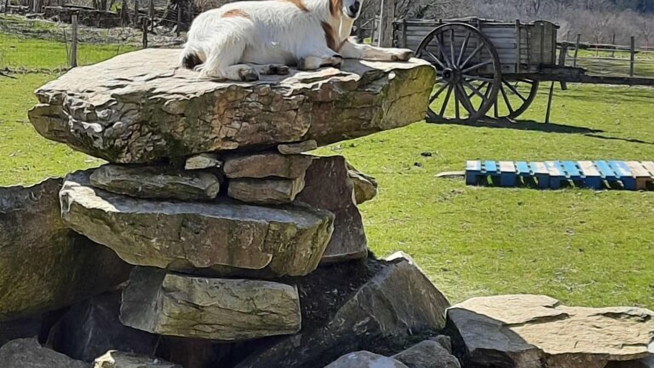 Photo of Outdoor in Beynat