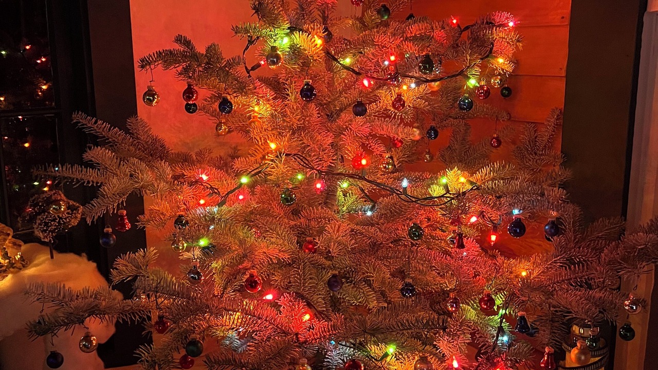 Photo of Others in Twin Mountain