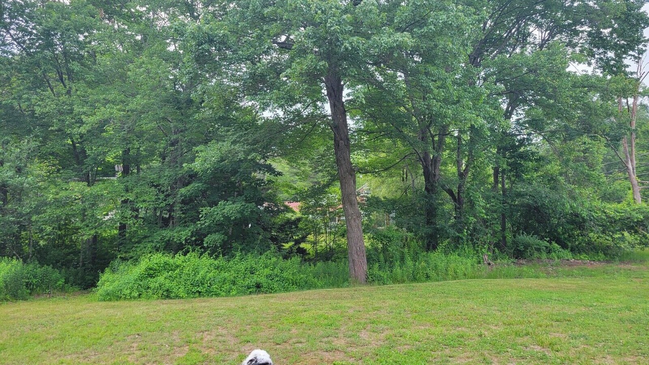 Photo of Outdoor in Brimfield