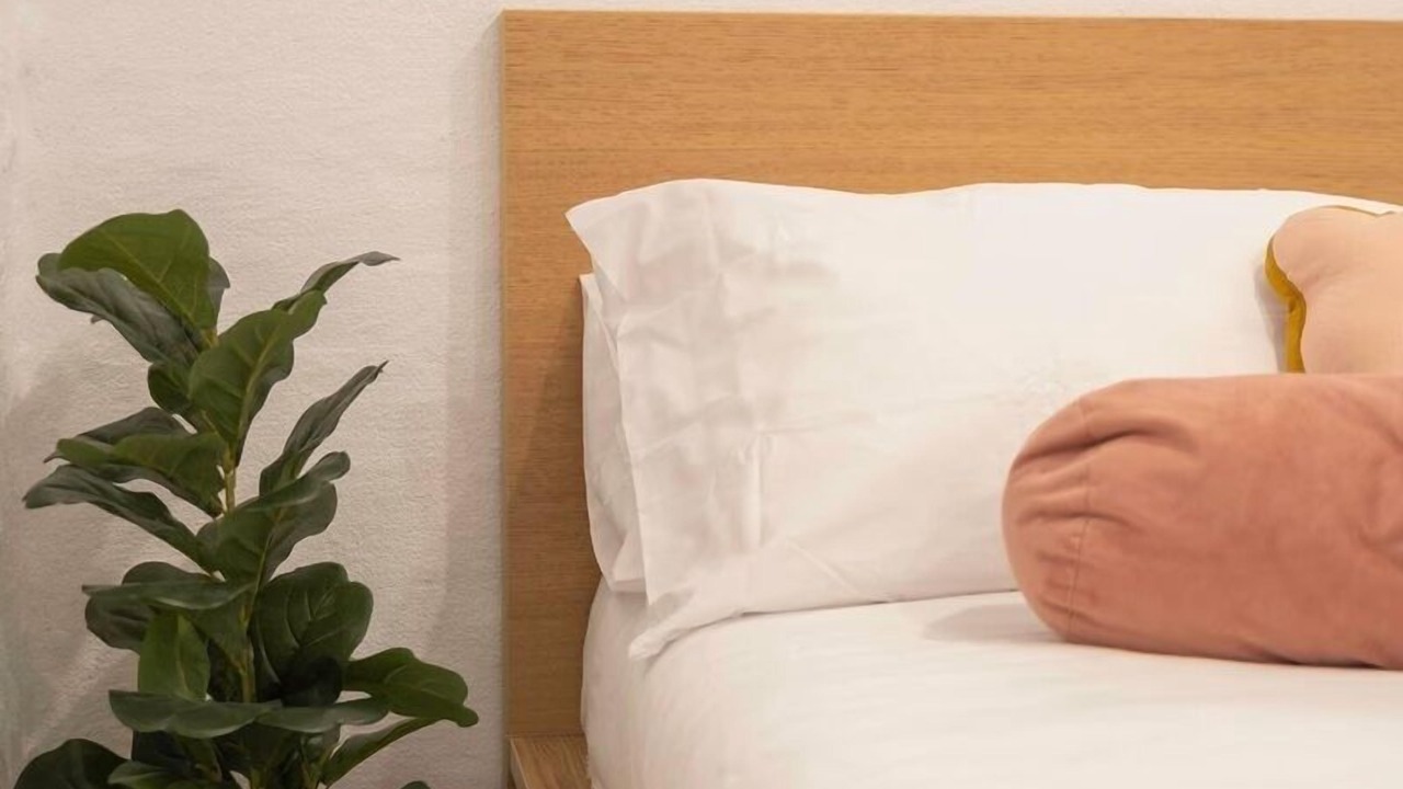 Photo of Others in Bondi