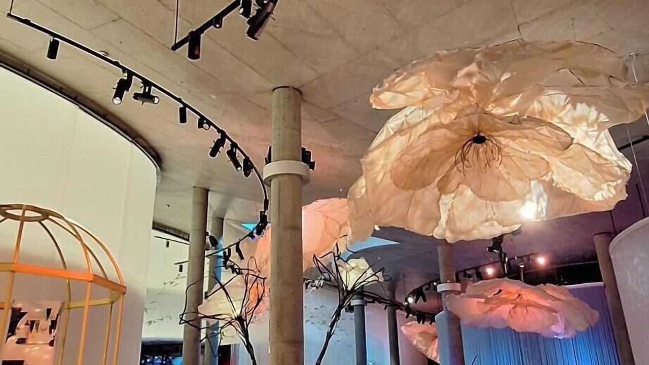 Photo of Others in Odense