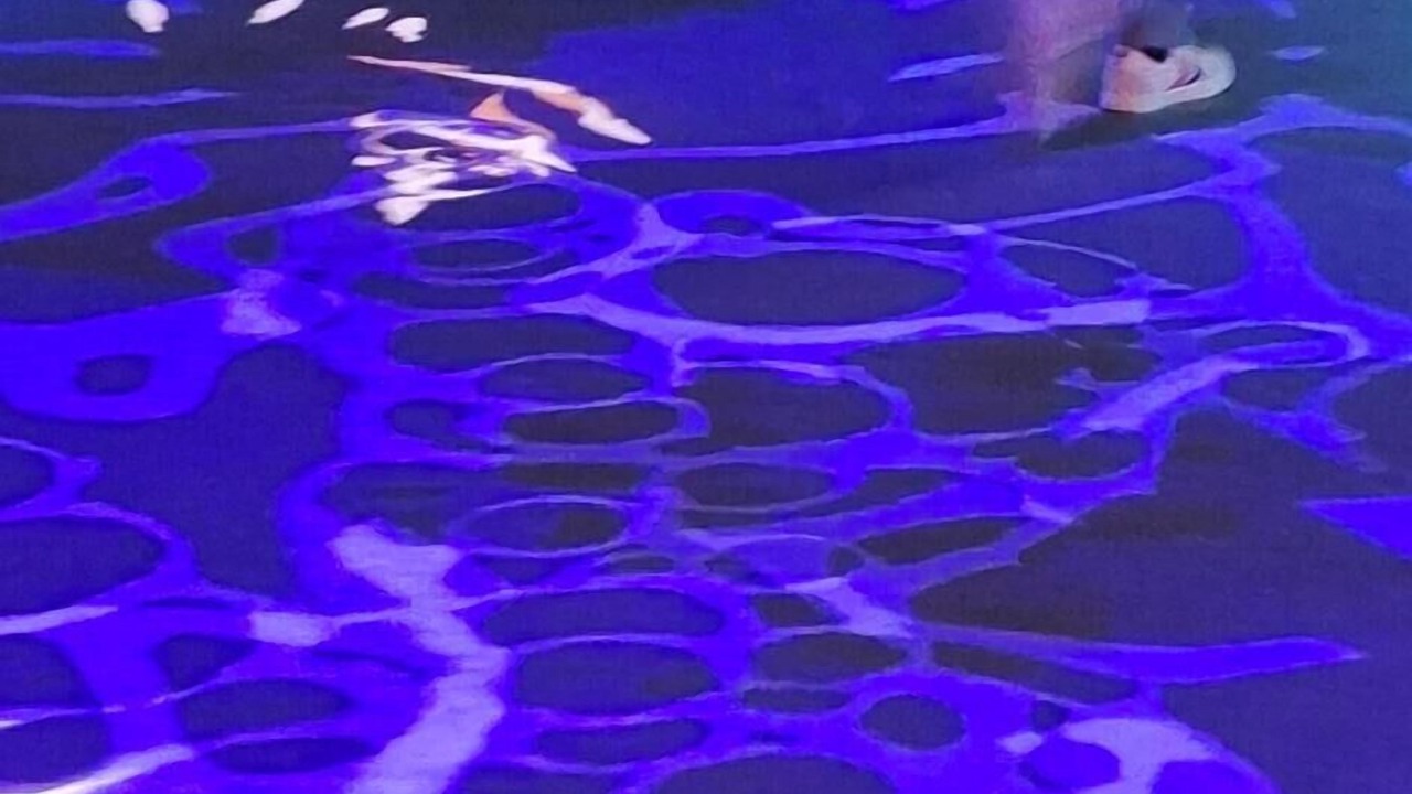 Photo of Others in Odense