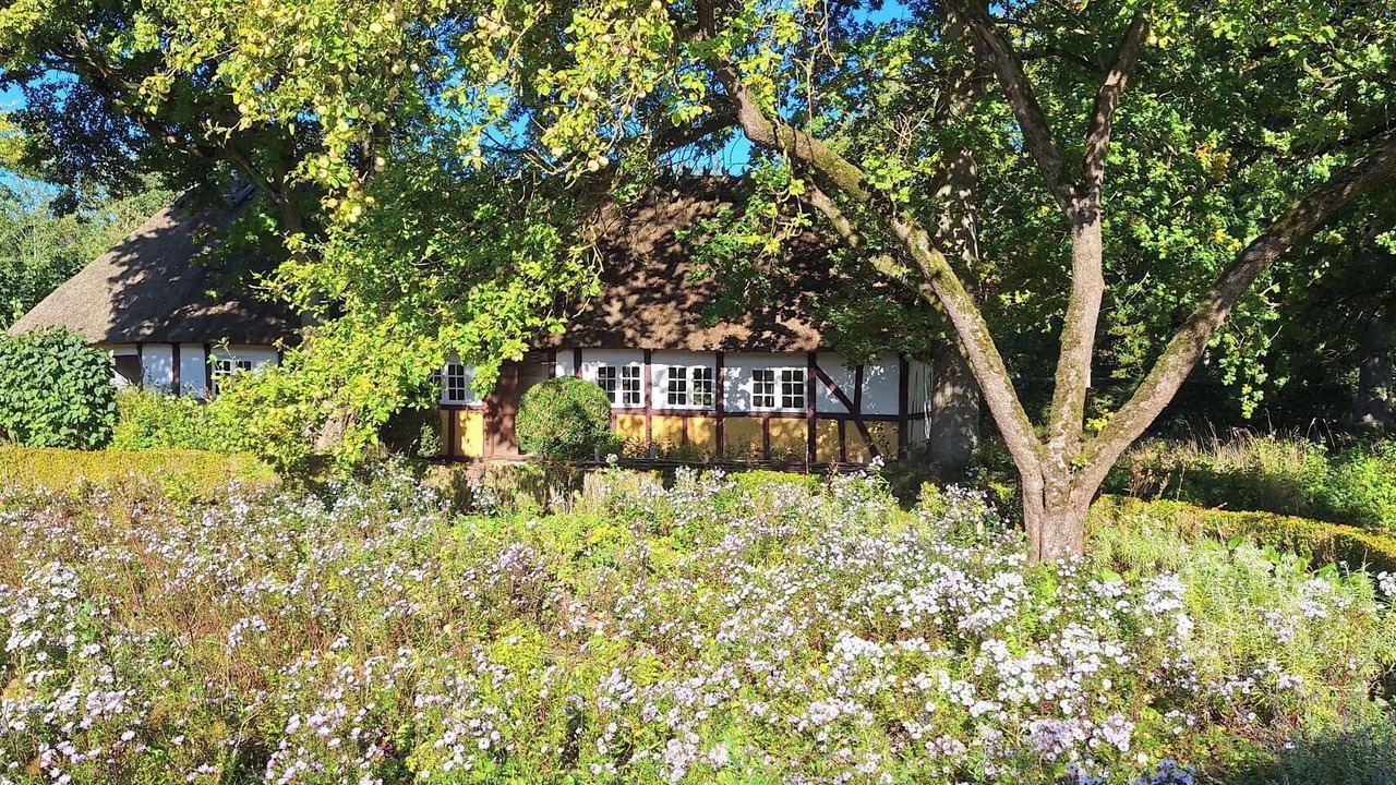 Photo of Others in Odense