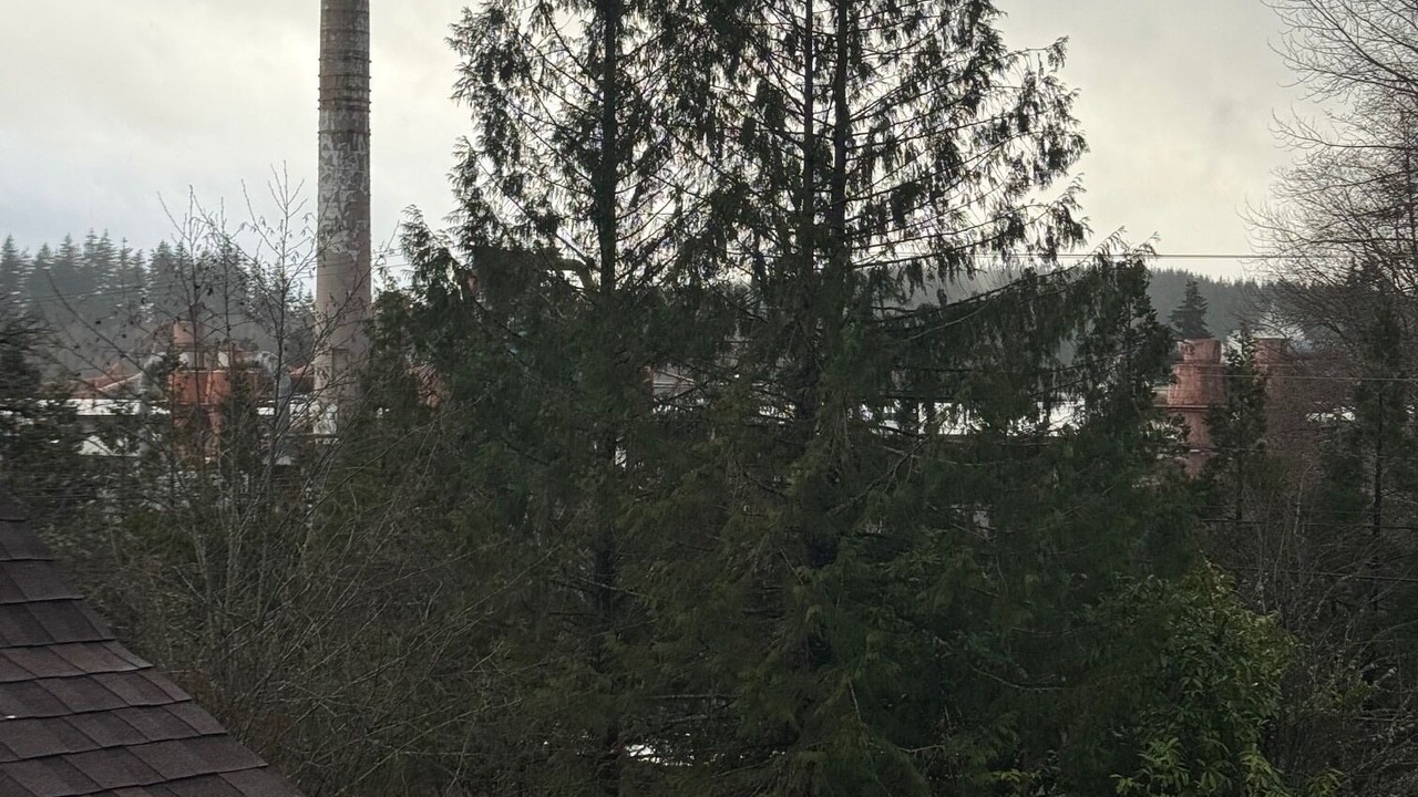 Photo of Outdoor in McCleary