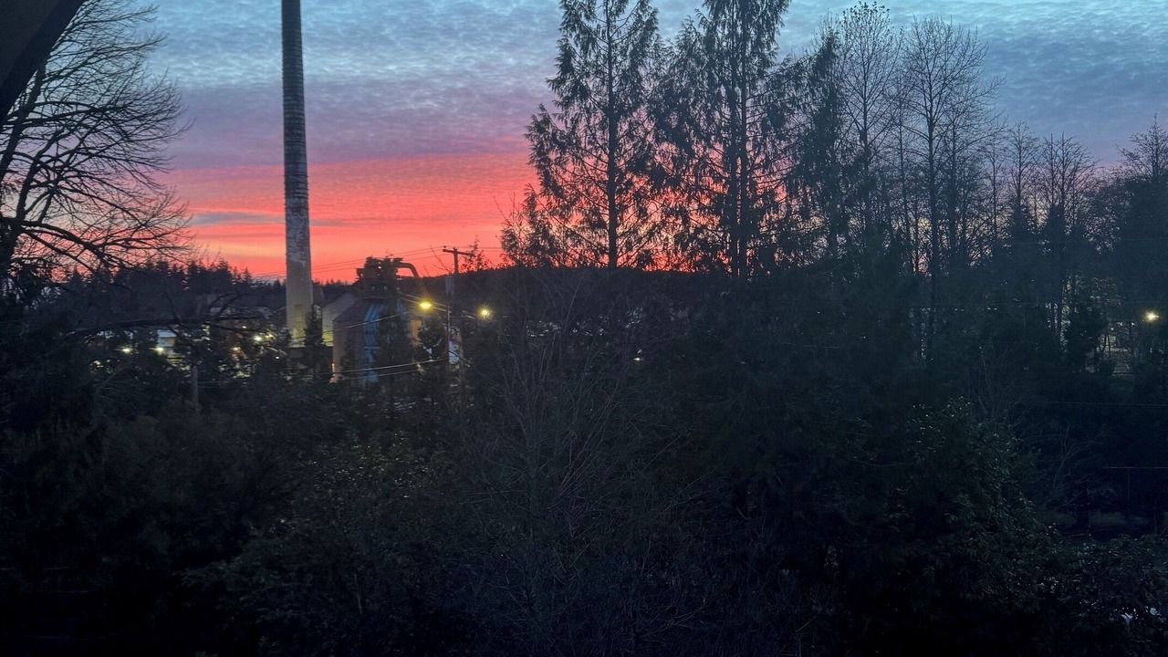 Photo of Outdoor in McCleary