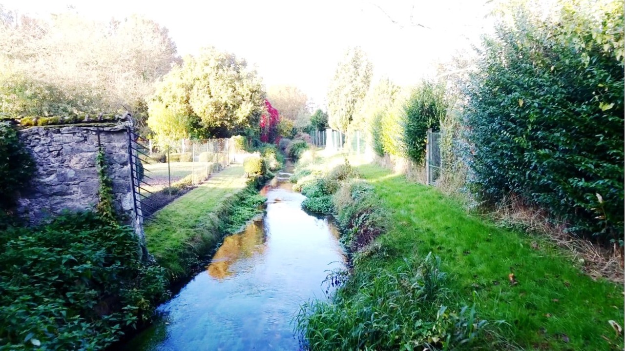 Photo of Others in Milly-la-Foret