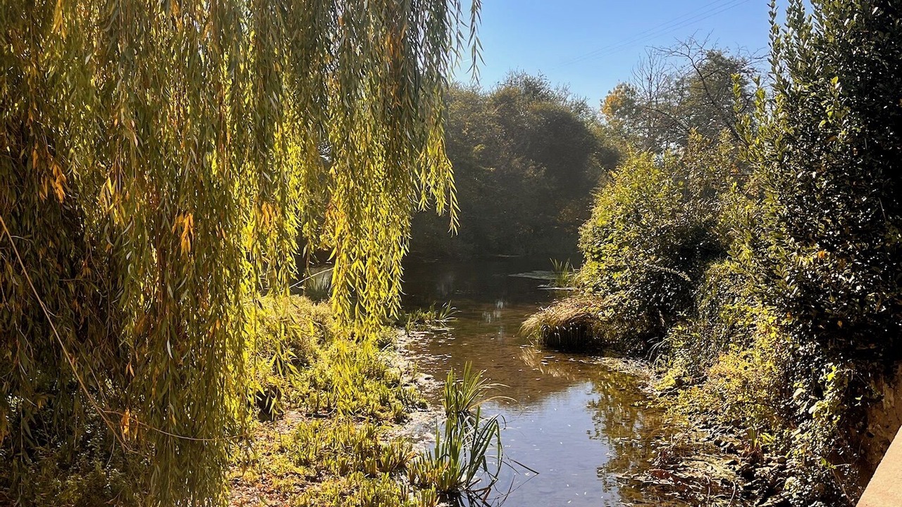 Photo of Outdoor in Sommieres-du-Clain