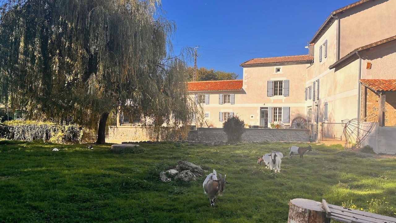 Photo of Outdoor in Sommieres-du-Clain