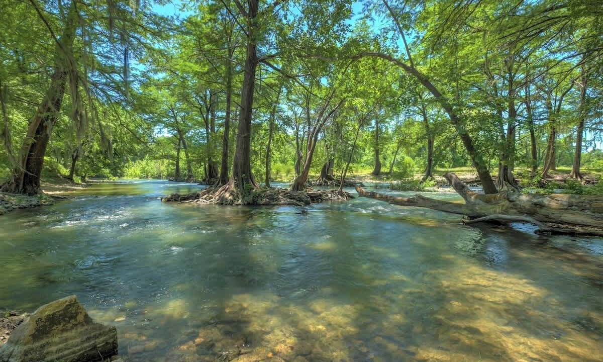 Photo of Outdoor in Gruene