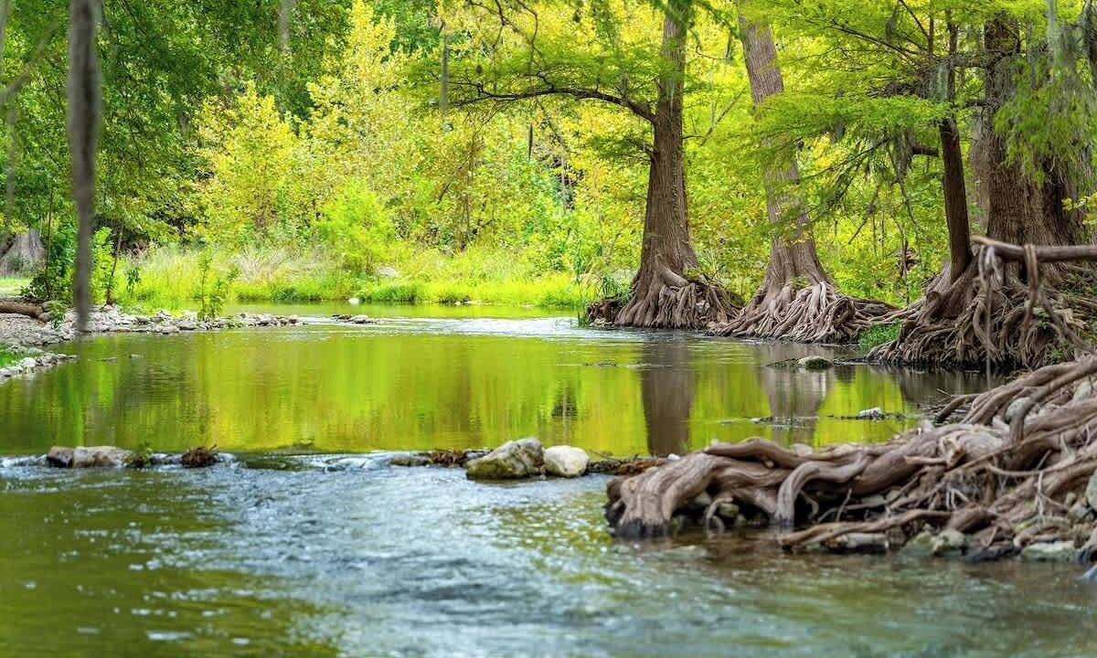 Photo of Outdoor in Gruene