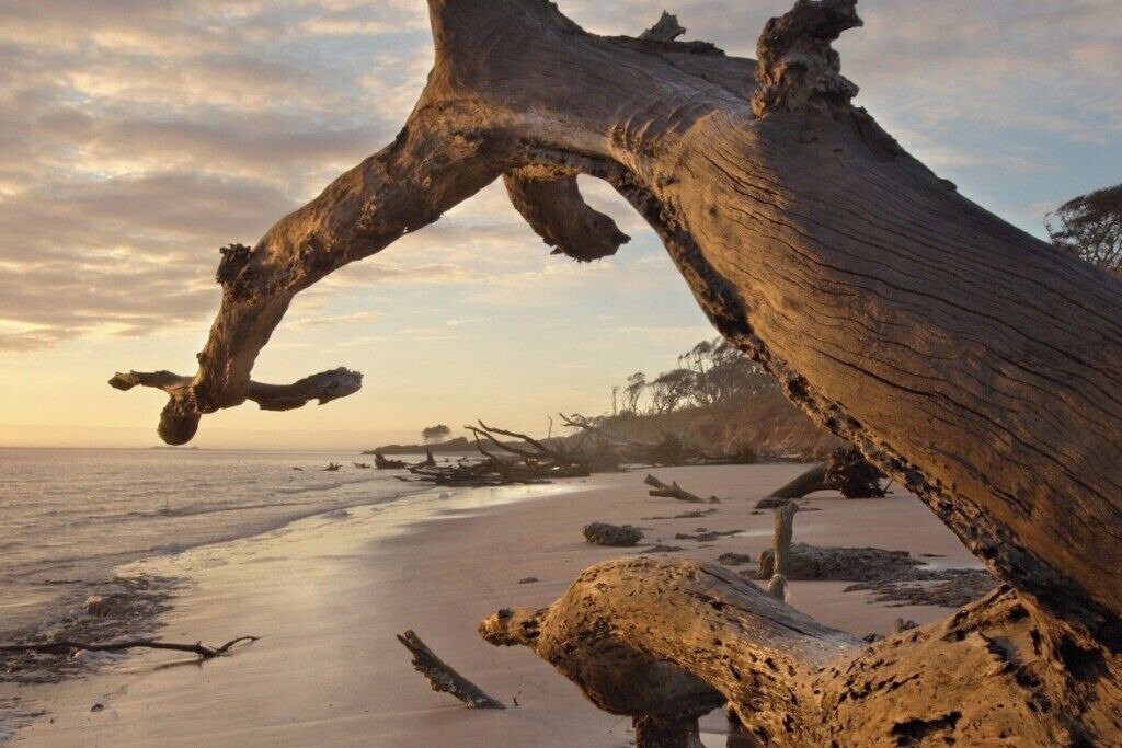 Photo of Others in Southbank