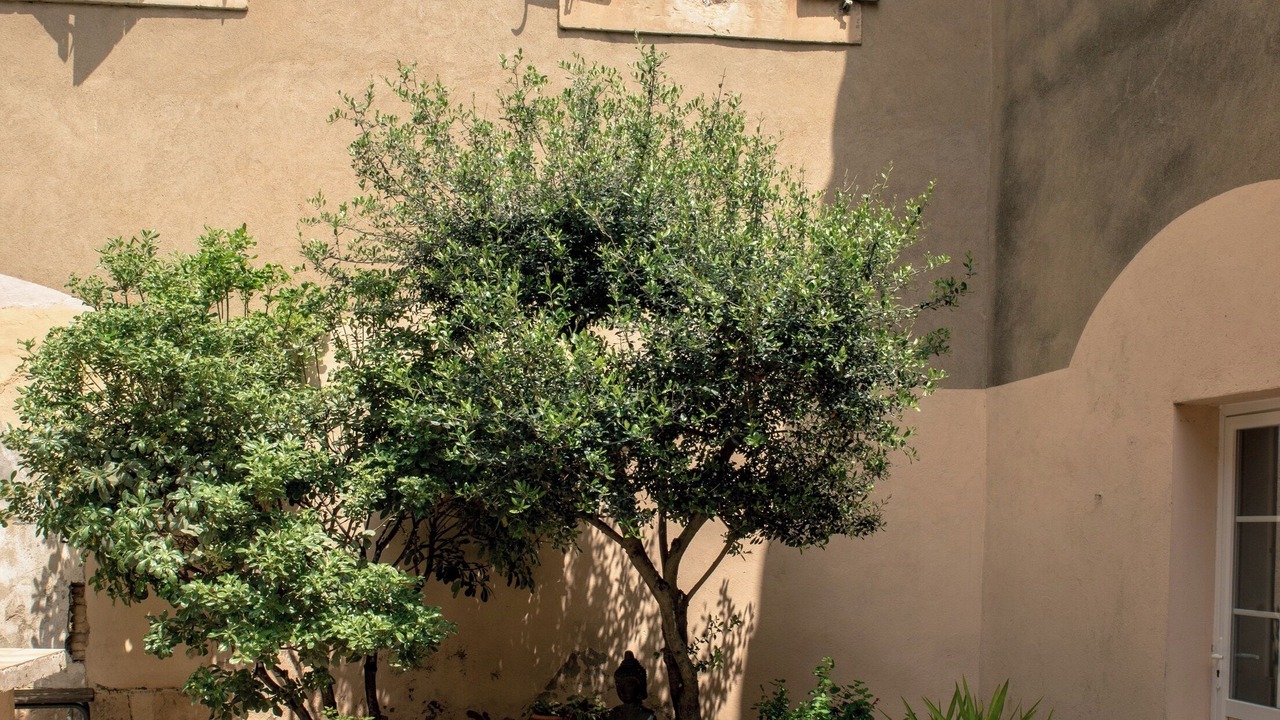 Photo of Outdoor in Moux