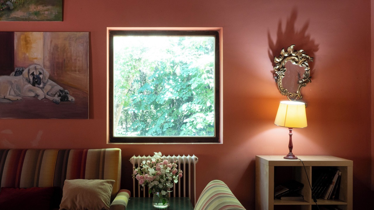 Photo of Livingroom in Puerto de Bejar