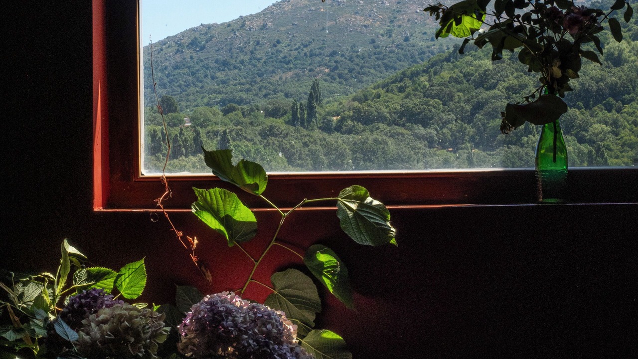 Photo of Others in Puerto de Bejar