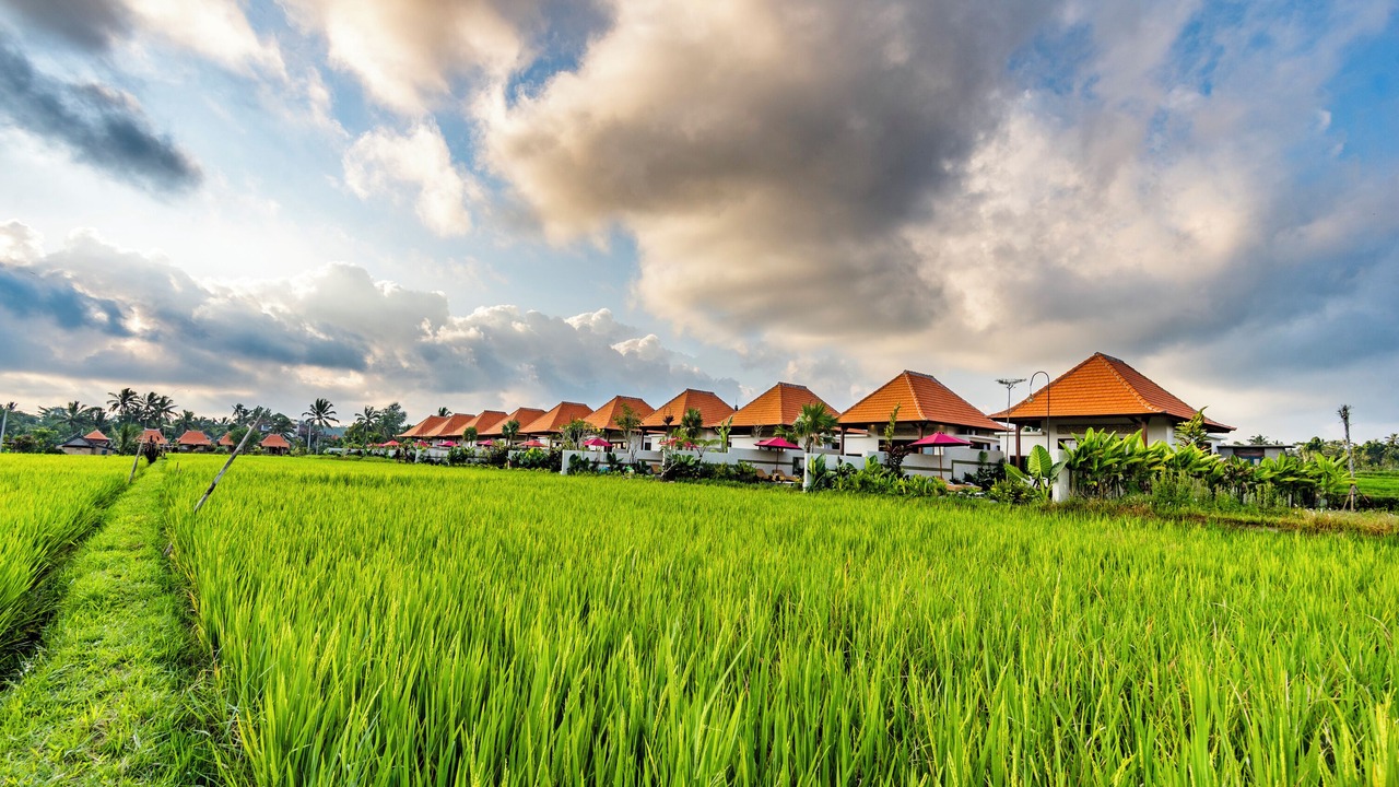 Photo of Outdoor in Sebatu
