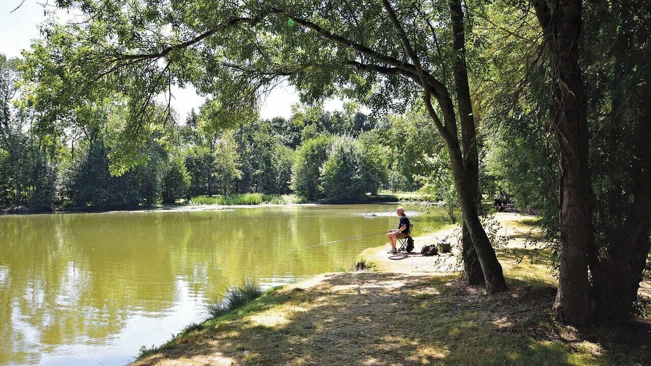 Photo of Others in Varennes sur Loire