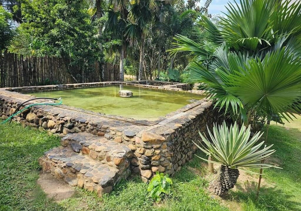 Photo of Outdoor in Sungai Lembing