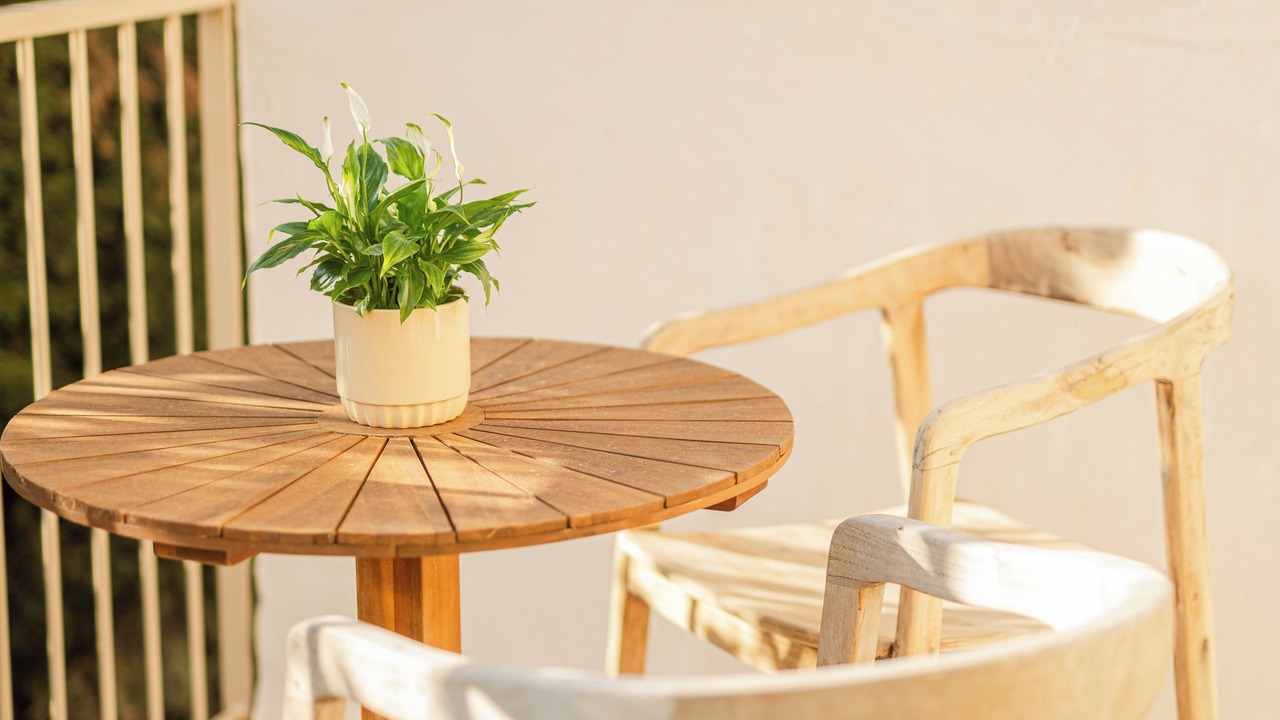 Photo of Others in Biot