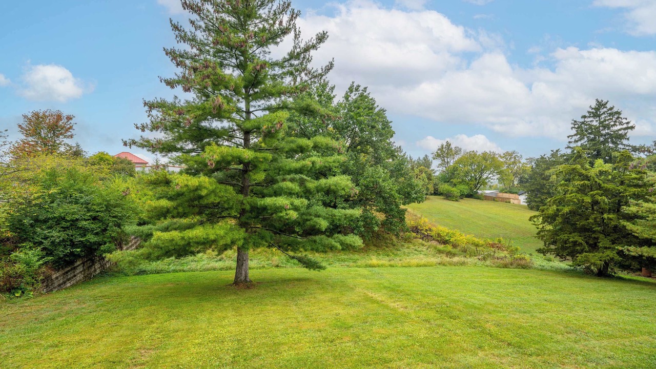 Photo of Outdoor in Dent