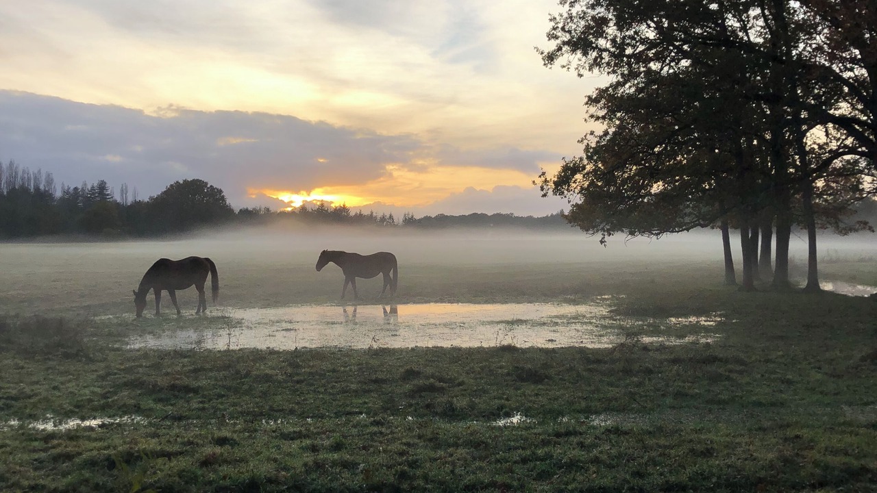Photo of Outdoor in Combreux