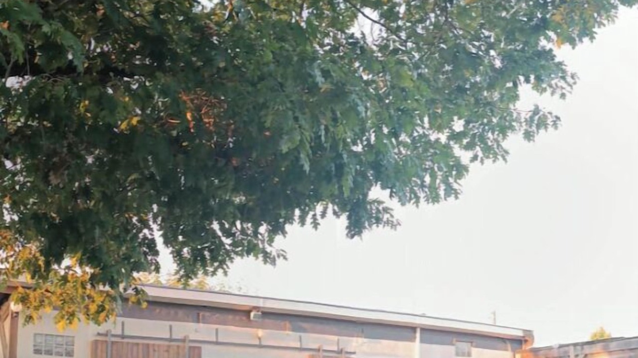 Photo of Outdoor in Eysines