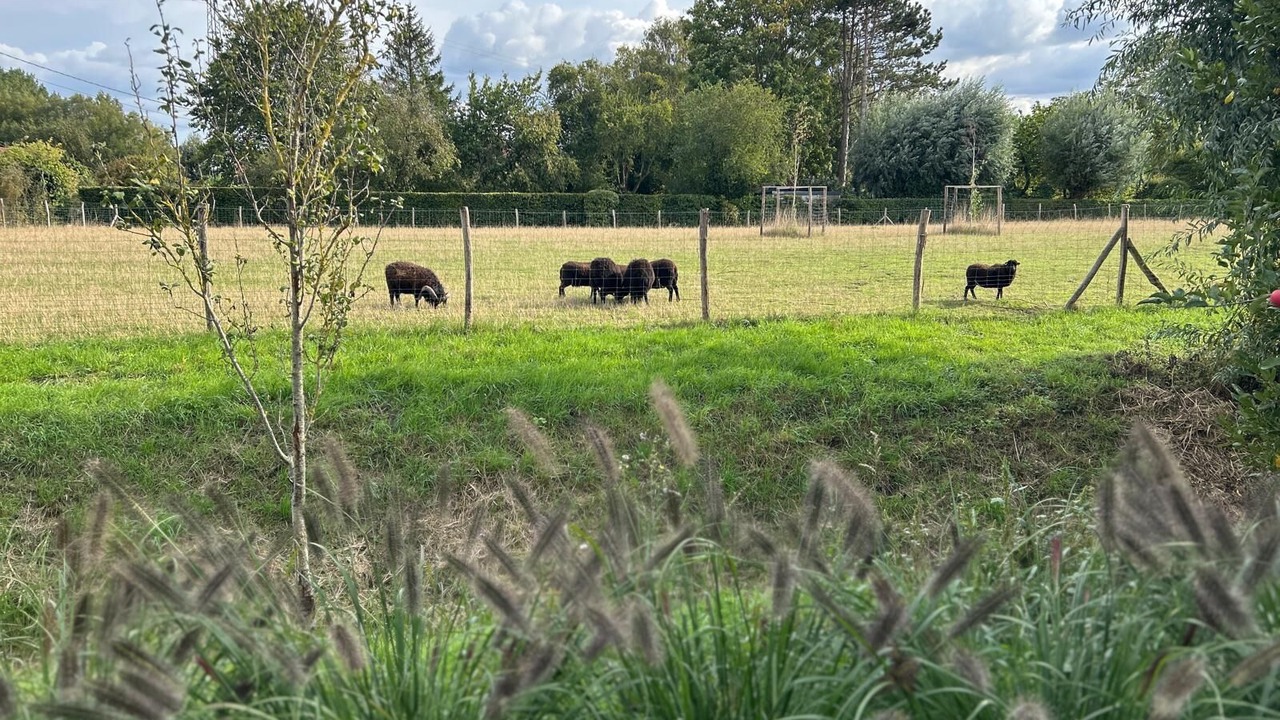 Photo of Outdoor in La Gorgue