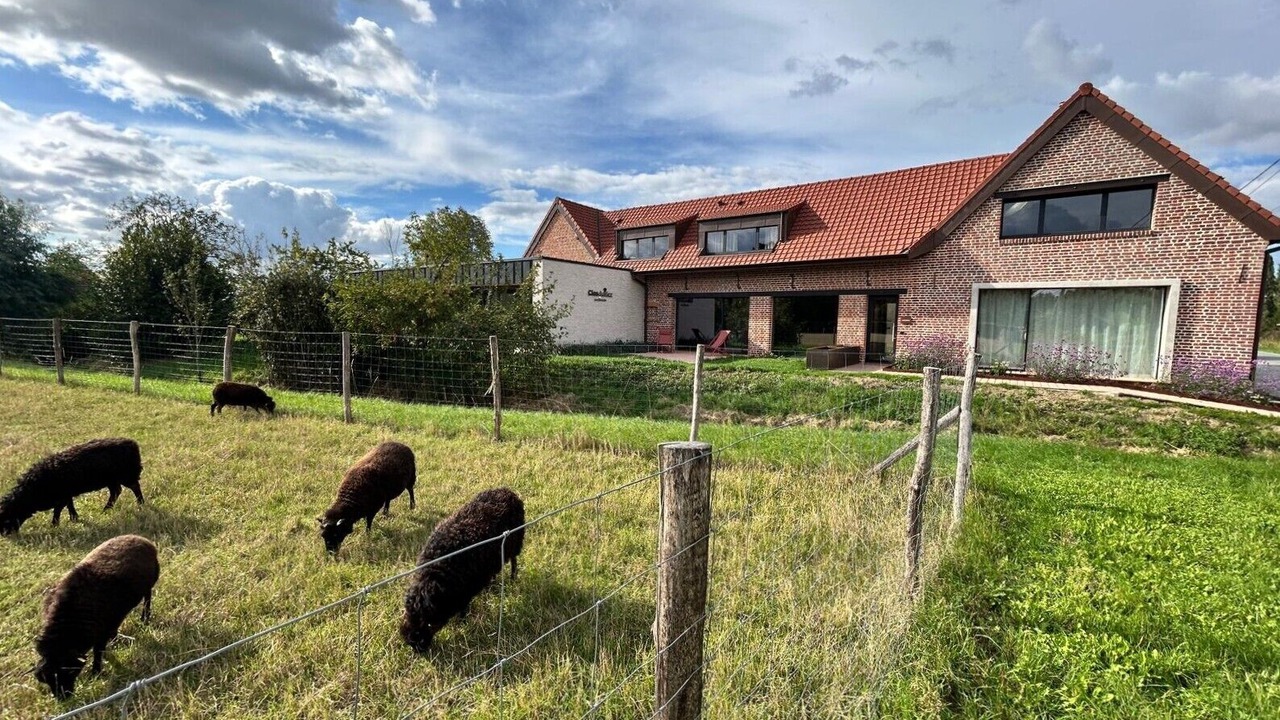 Photo of Outdoor in La Gorgue