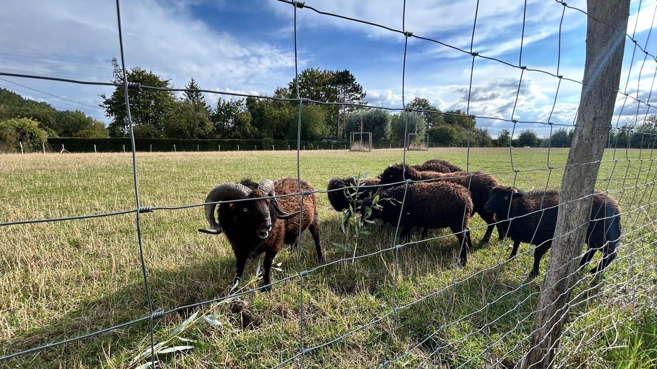 Photo of Outdoor in La Gorgue