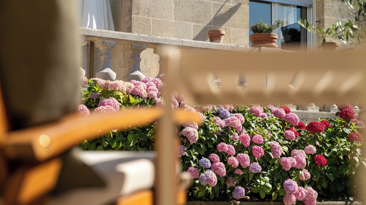 Photo of Outdoor in Pauillac