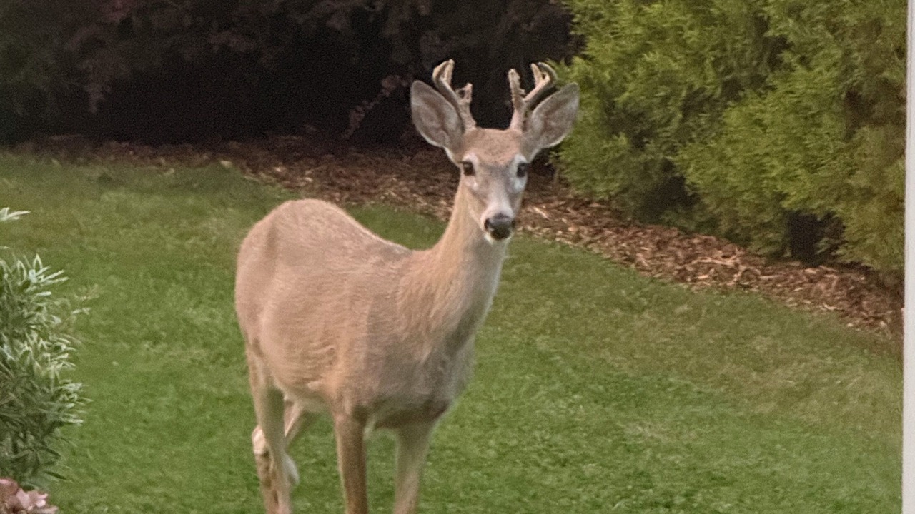 Photo of Outdoor in Roseburg